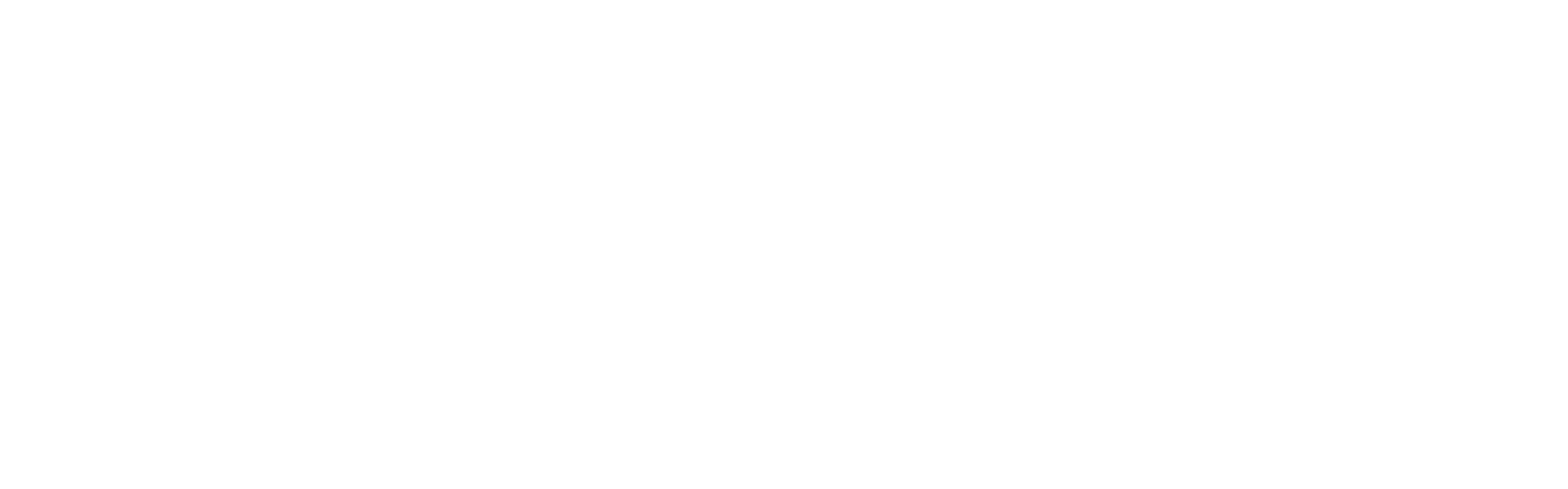Kayser Performance